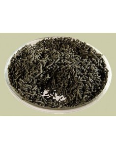 Muster Bronho-Vital (1Stk.)