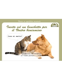 IT-Einladung zum Testessen...