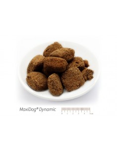 Produktfoto MaxiDog Dynamic