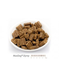 MaxiDog Olymp