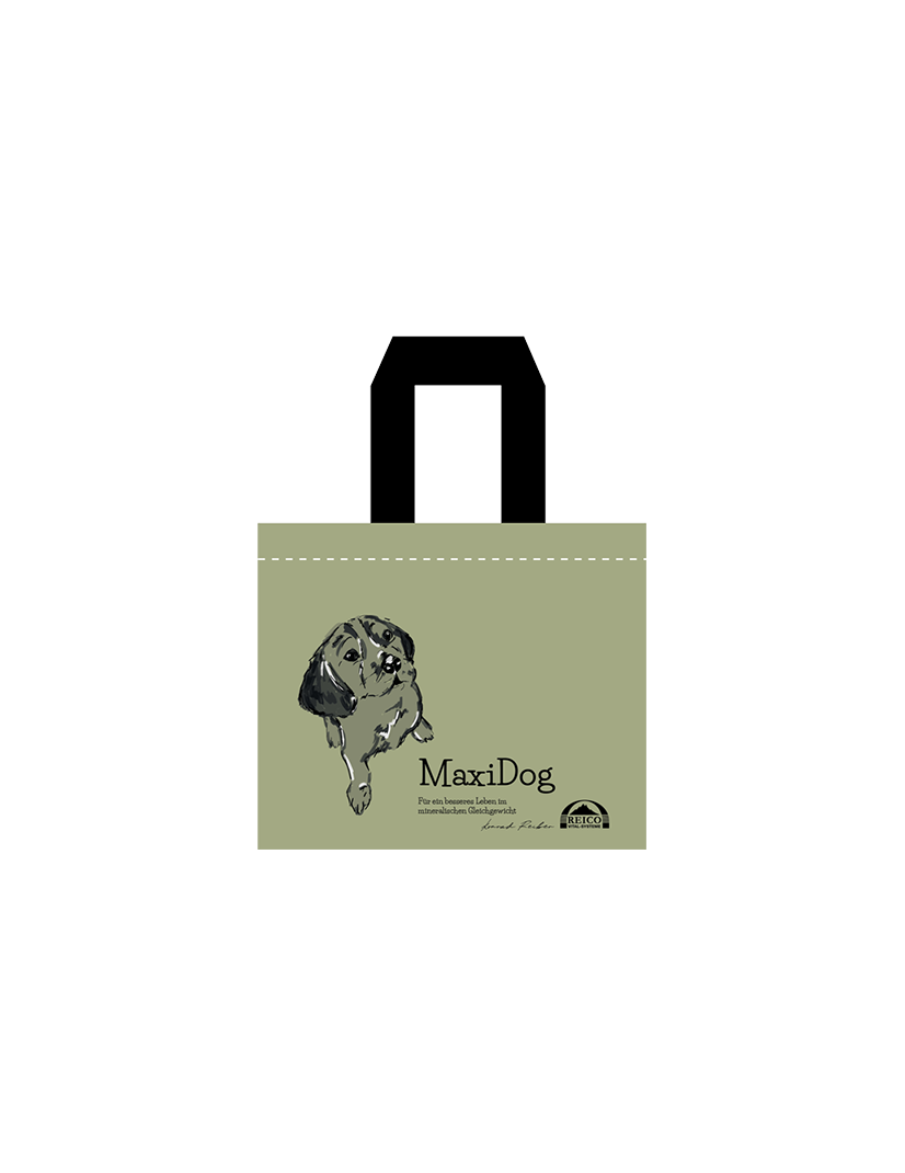 Tasche Paul