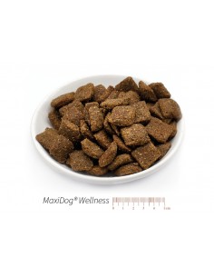 MaxiDog Wellness
