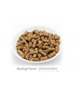 MaxiDog Sensiv
