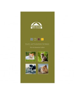 Flyer Katze 25 Stück