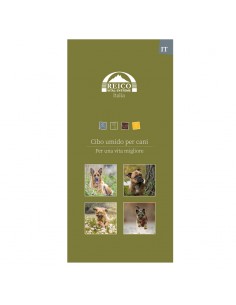 IT-Flyer Hund Nassfutter 25...