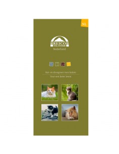 NL-Flyer Katze 25 St.