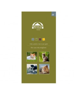 IT-Flyer Katze 25 Stück