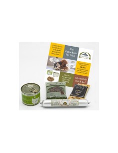 IT Festessen Katze 2020